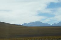 
DSC00227